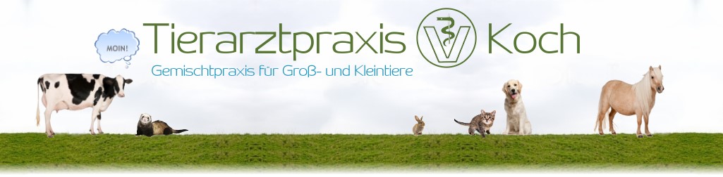 Tierarztpraxis Ludwig Koch - Gemischtpraxis für Groß- und Kleintiere